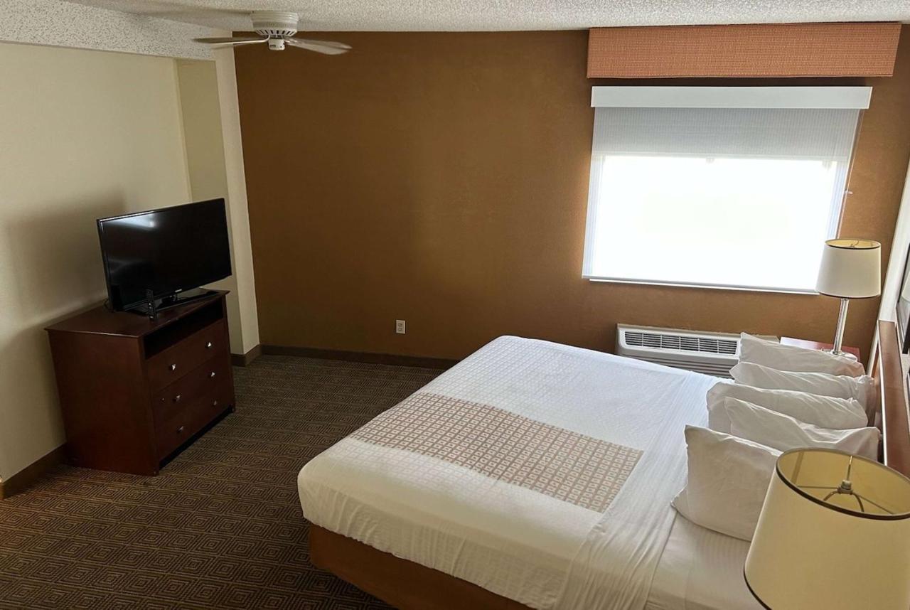 Suite 1 Chambre Lit King-Size - Non-Fumeurs