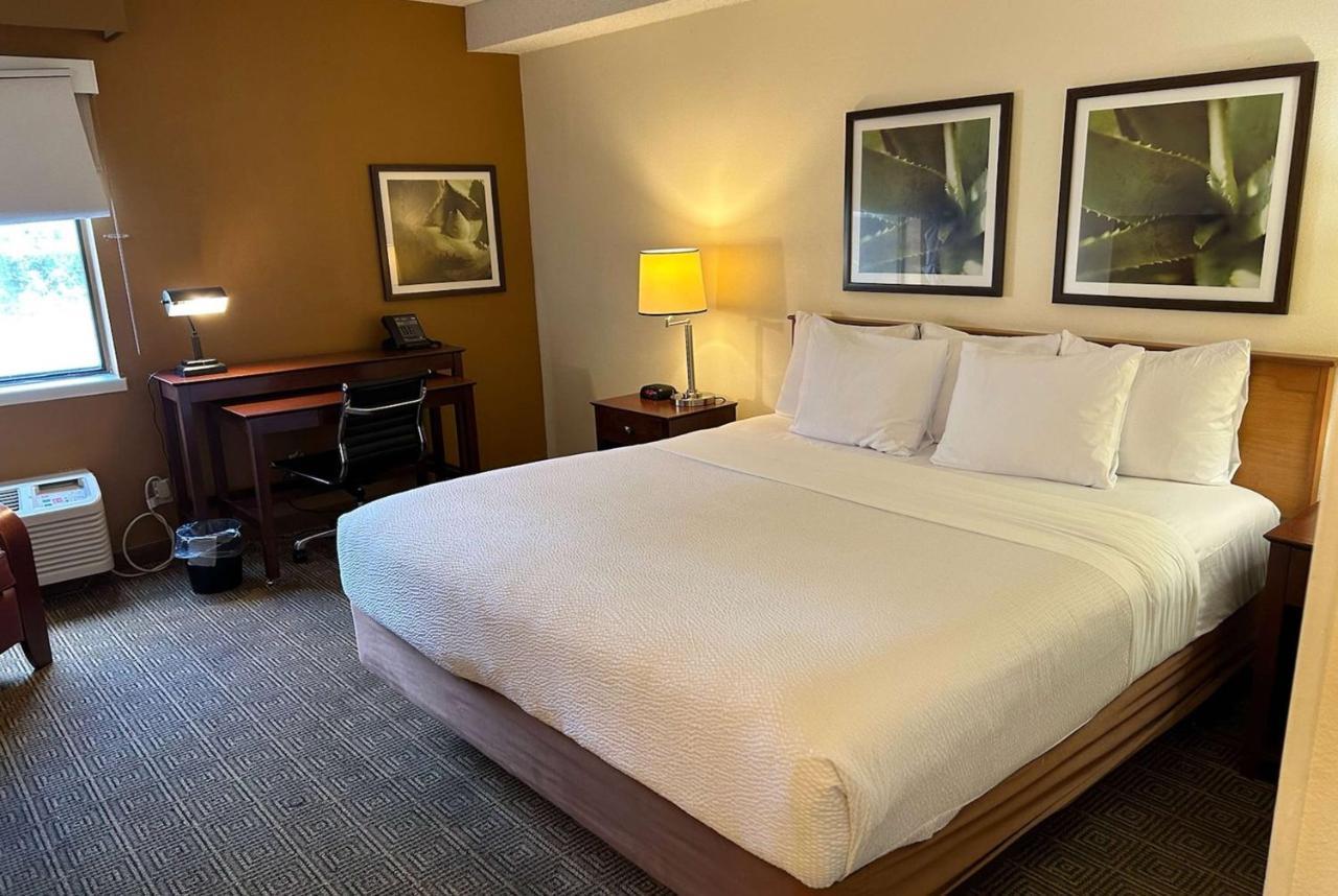 Chambre Lit King-Size - Non-Fumeurs