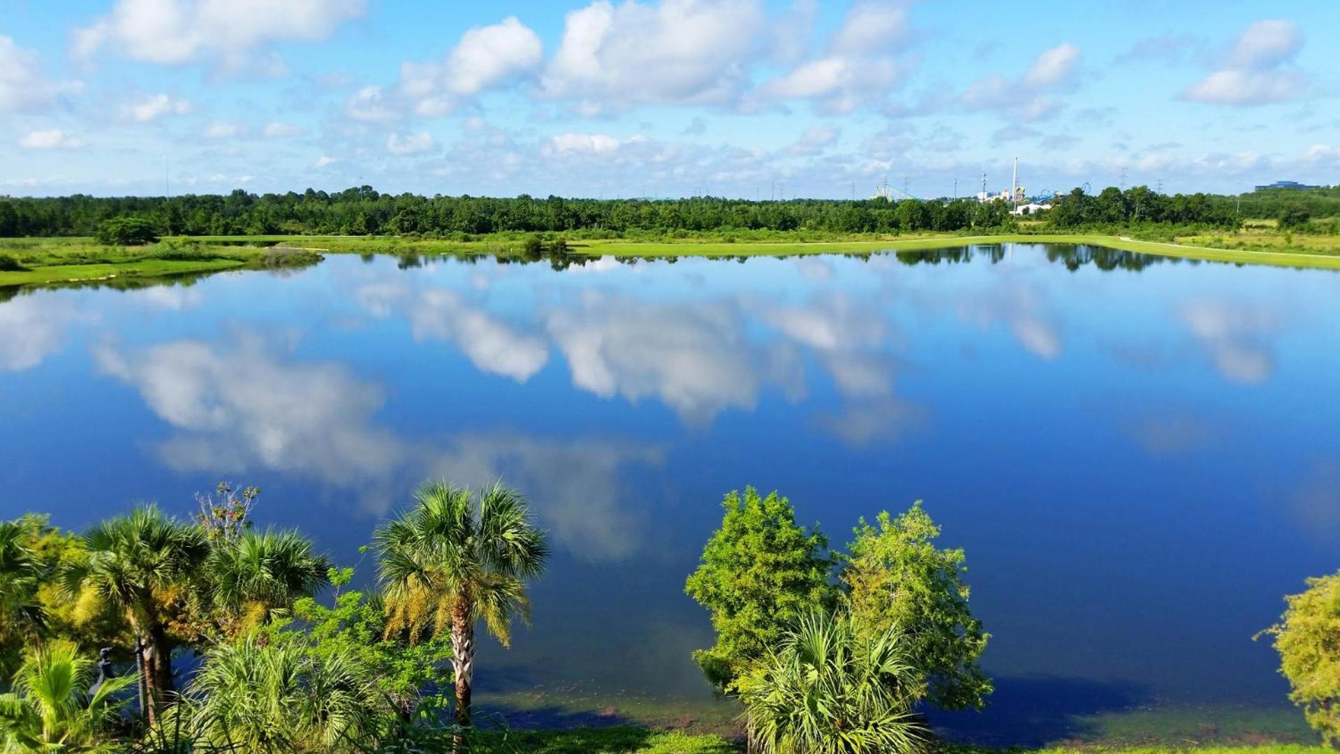 Three-Bedroom House,1559017909:JPEG