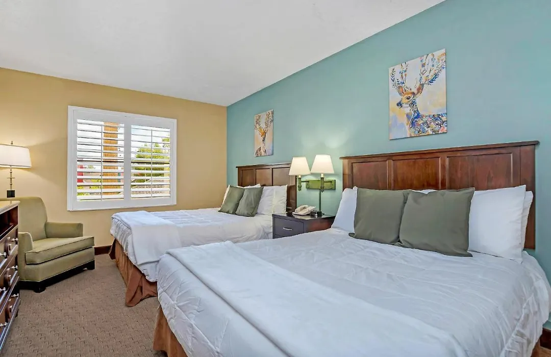 Near Disney - 1Br Apt-Hotel With Two Queen Beds - Pool And Hot Tub-1