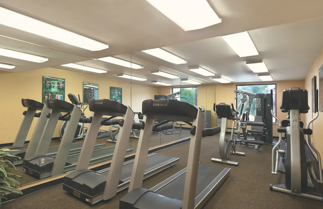 Buena Vista Suites Orlando-1