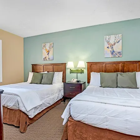 Near Disney - 1Br Apt-Hotel With Two Queen Beds - Pool And Hot Tub-2