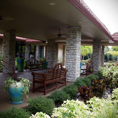 Magic Tree Resort-2