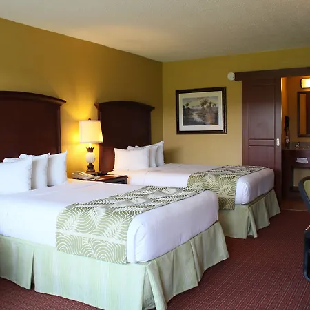 Rosen Inn International Near The Parks-3