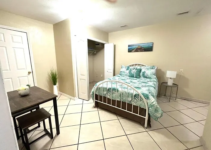 Nice Space With Separate Entrance