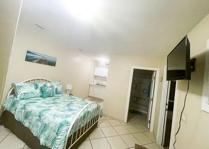 Nice Space With Separate Entrance