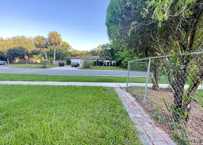 Nice Space With Separate Entrance