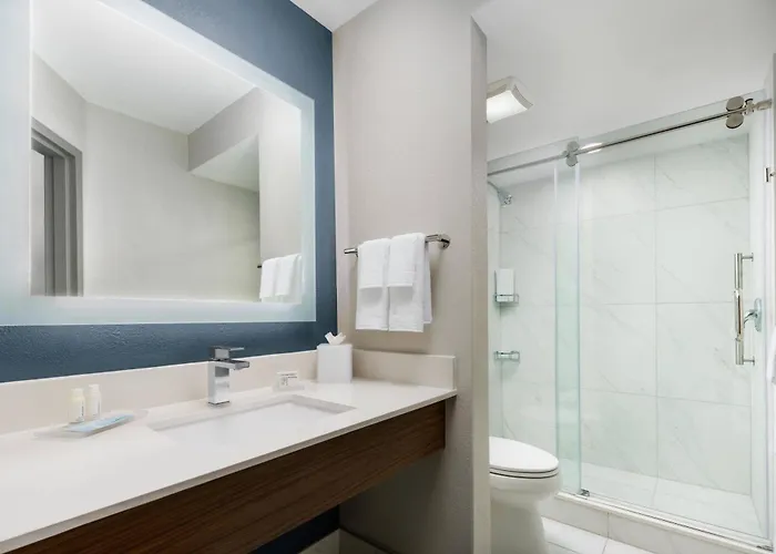Courtyard By Marriott Orlando Lake Buena Vista At Vista Centre